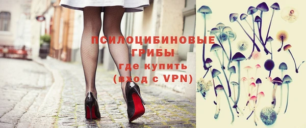СК Покачи