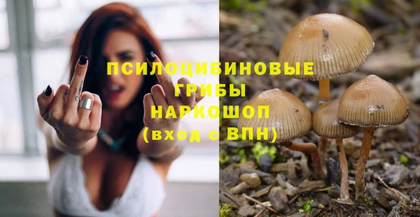 твердый Малоярославец