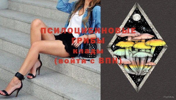 СК Покачи