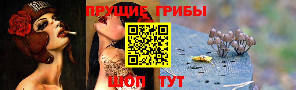 Саянск  Галлюциногенные грибы Psilocybine cubensis  Галлюциногенные грибы ЛСД  Вход с VPN 